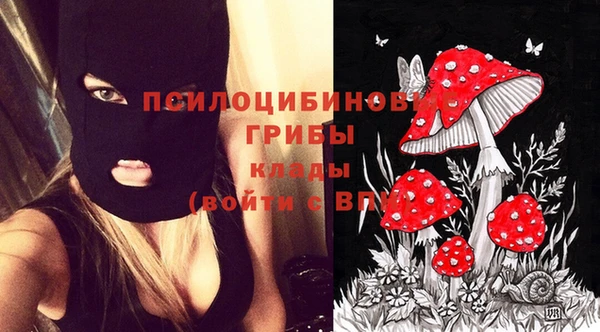 кокаин премиум Беломорск