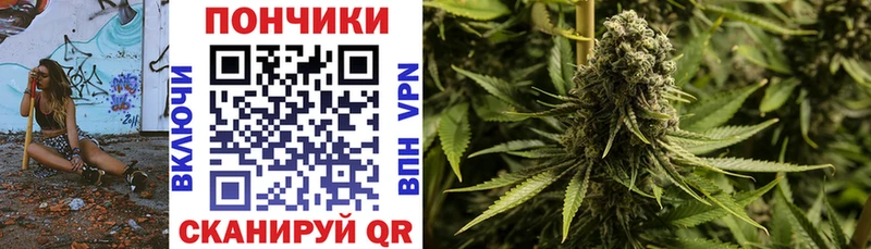 Каннабис марихуана  Цоци-Юрт 
